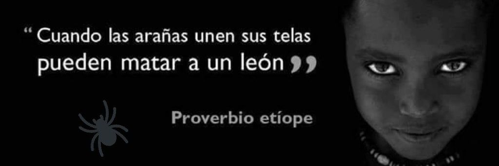 🕷🕸Viuda Negra🕸🕷's banner