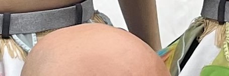 豆柴の大群's banner