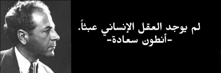 Janaalloul| جنى علّول's banner