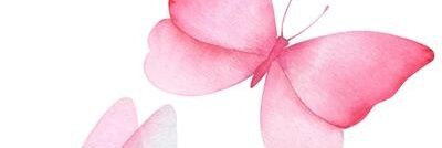 HinaDinh's banner