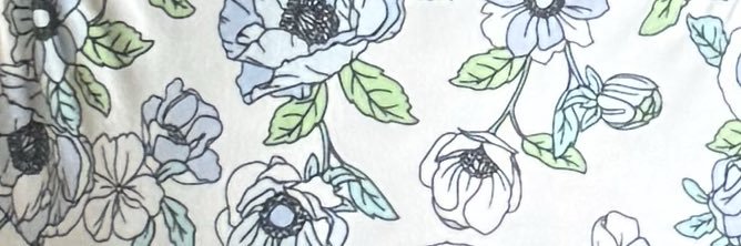 🌹Roxy Rose 🤩's banner