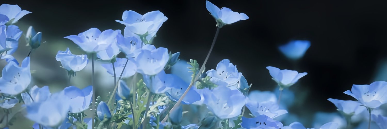 eimi➚ᵛ⁸'s banner