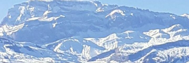 Dr. Elman Muradov's banner