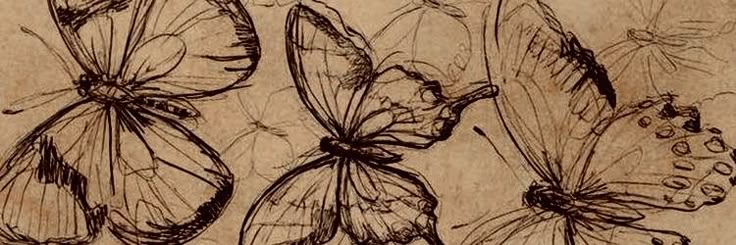 sara˚'s banner