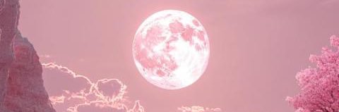 Desi's banner