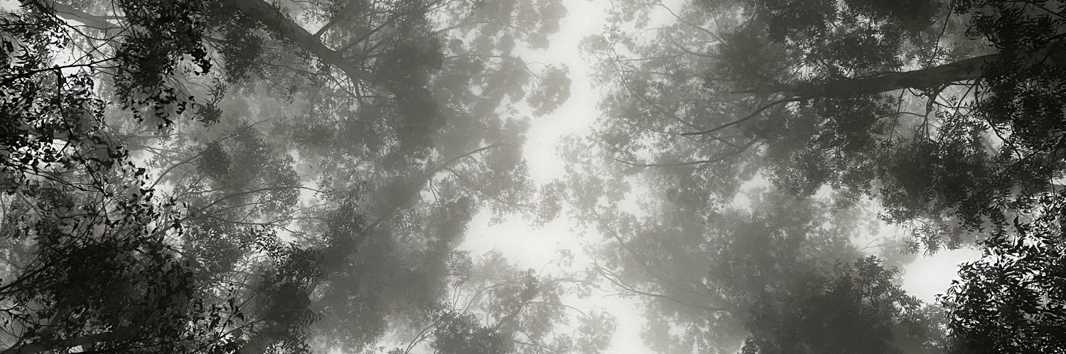 sirlatsypus's banner