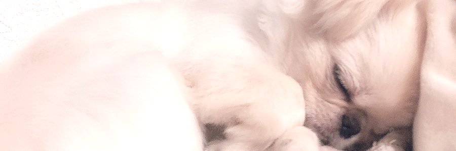 oonoaki's banner