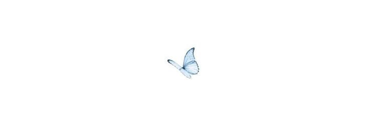 karoline ✨'s banner