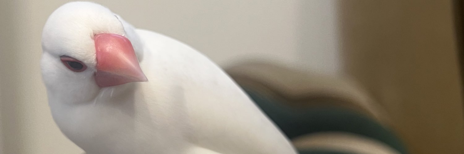 とろサーモン村田's banner