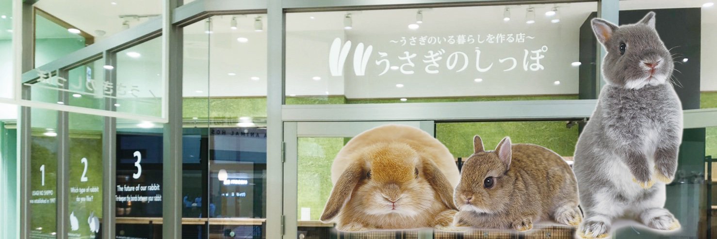 うさぎのしっぽ南町田グランベリーパーク店's banner