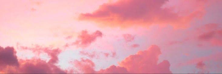 Lana's banner