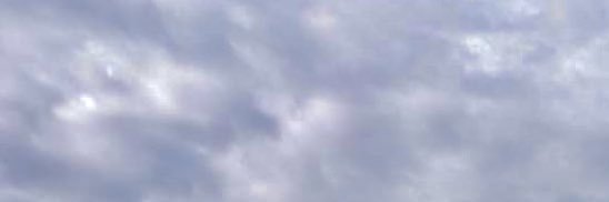El Dani que Aúlla's banner