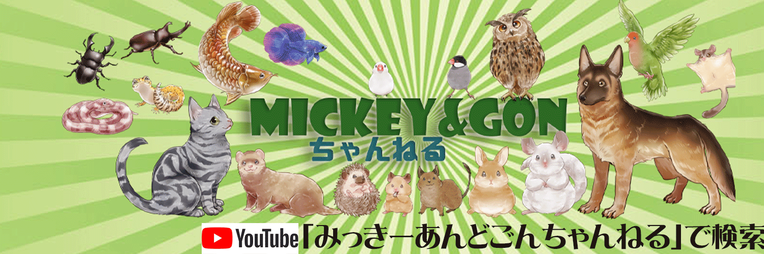 Mickey&Gon 船橋店's banner