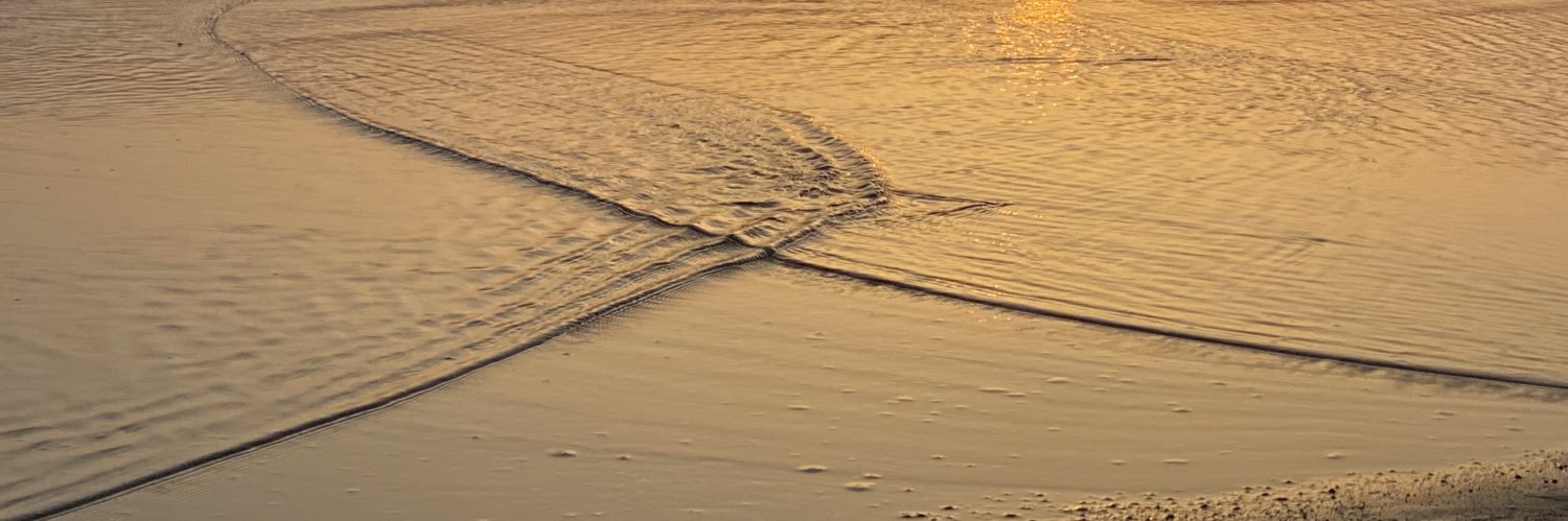𝕊𝕠𝕝øflow's banner
