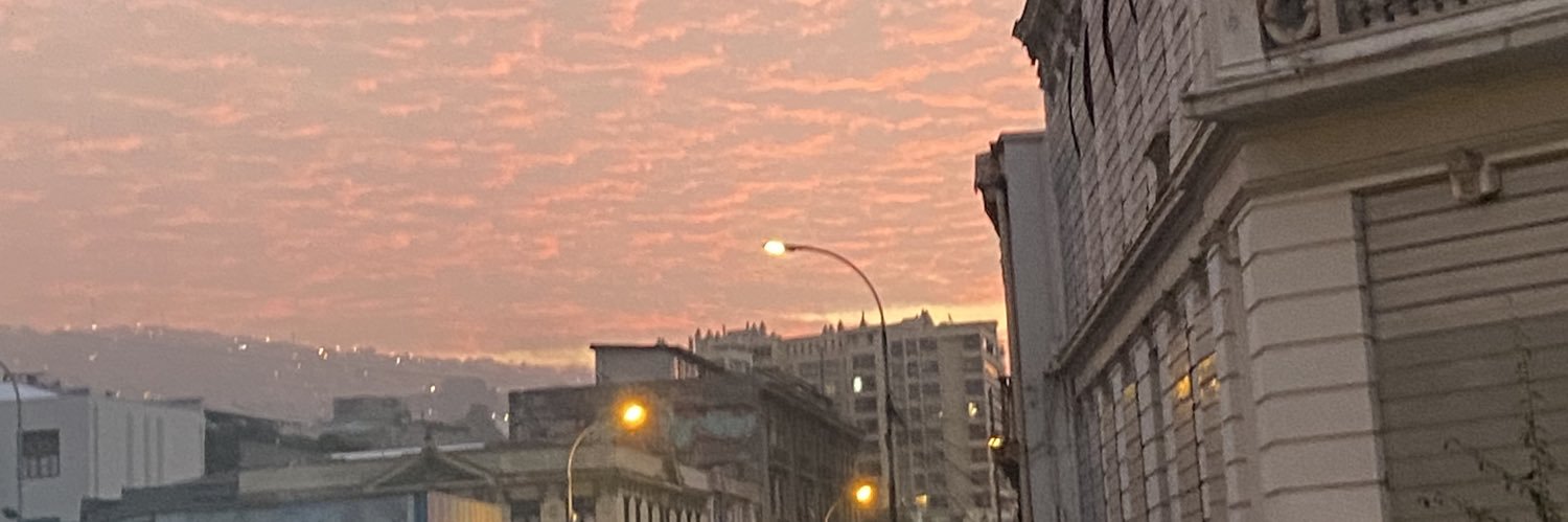 💗🐉's banner