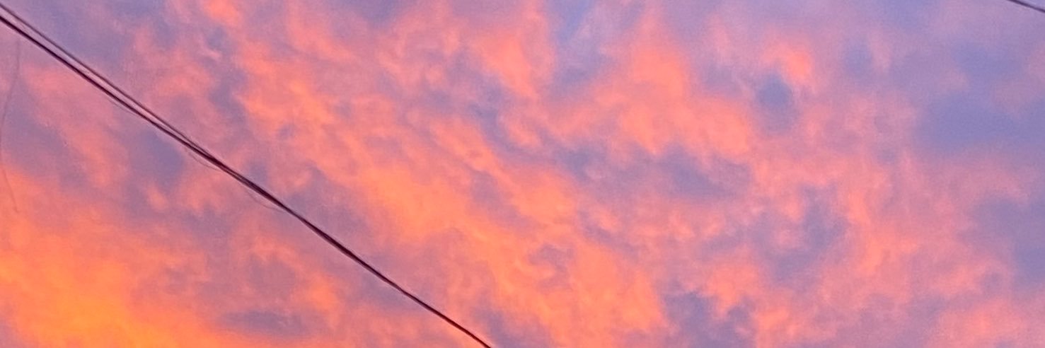 💗🐉's banner
