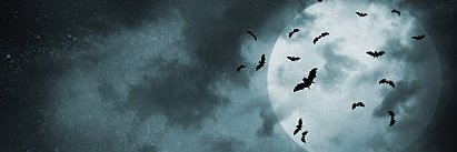 Saphira official's banner