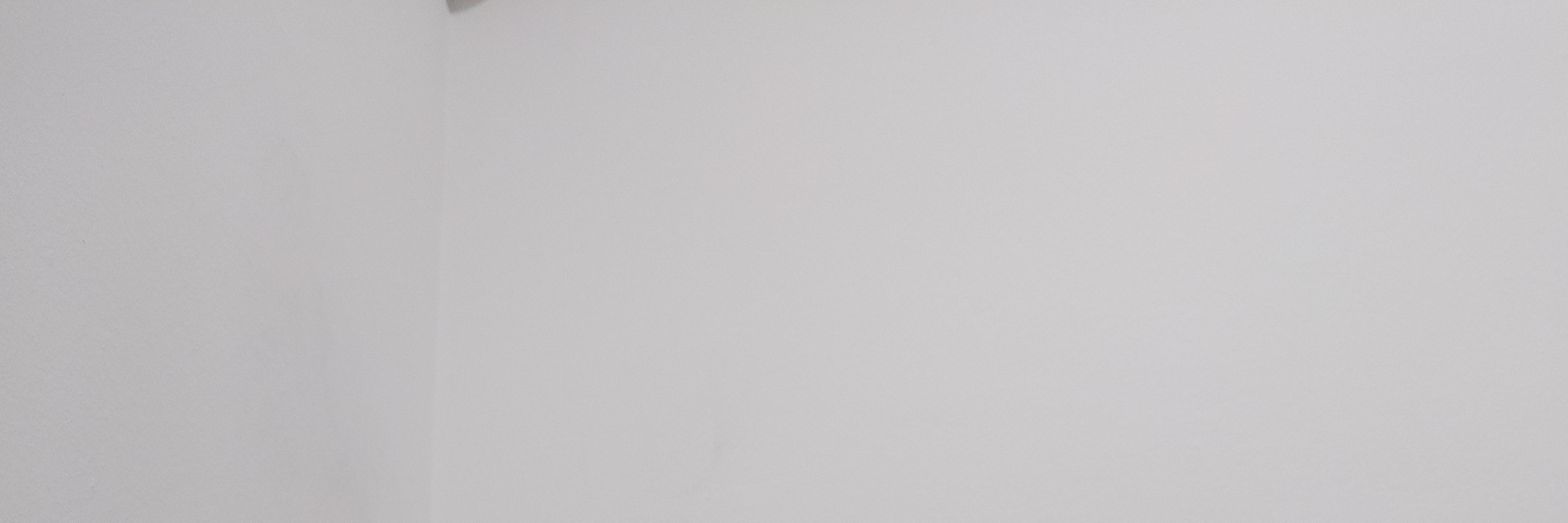 ;'s banner