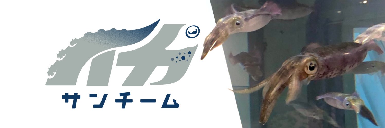 仂㌠(べるしそら)'s banner