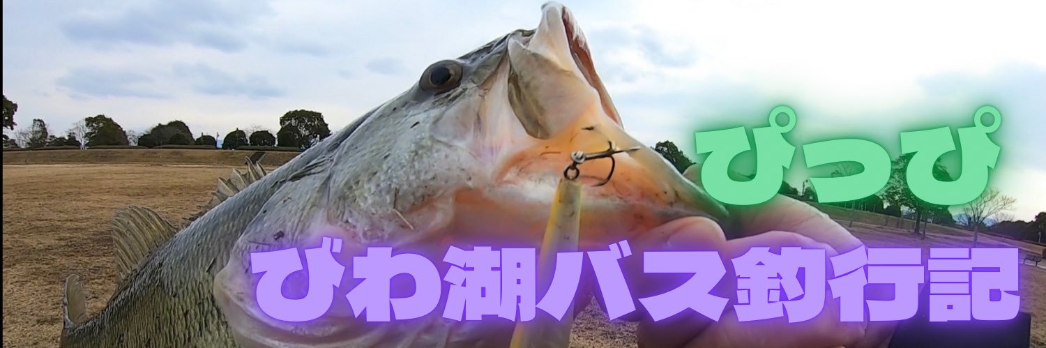 ぴっぴ-琵琶湖バス釣行記-'s banner