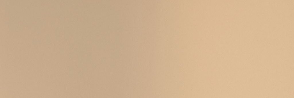 liv's banner