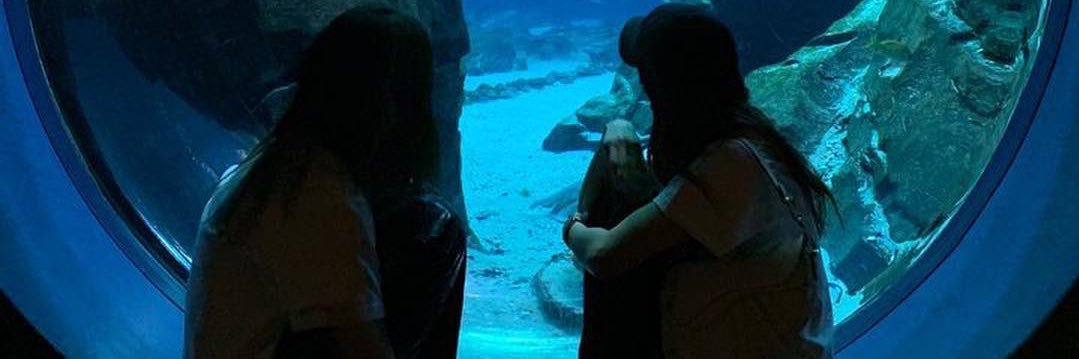 jns • jensoo au's banner
