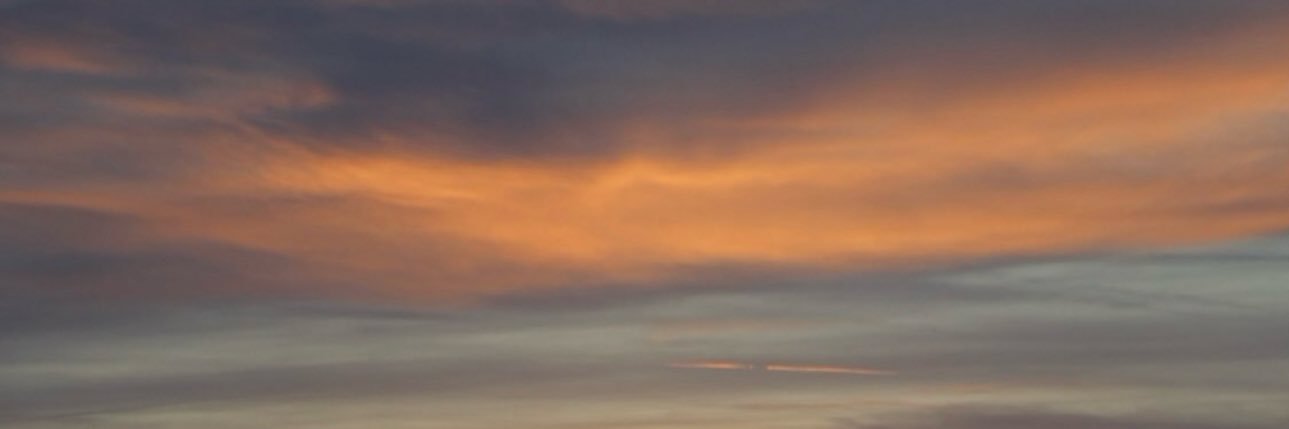 Yasemin Aydın's banner