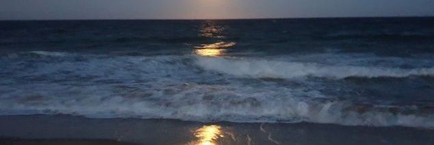 r⋆˚࿔'s banner