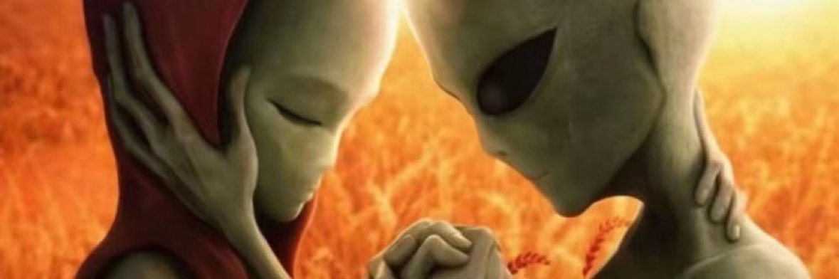 Nolimit's banner