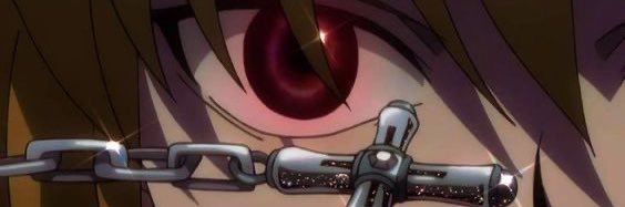 nik's banner