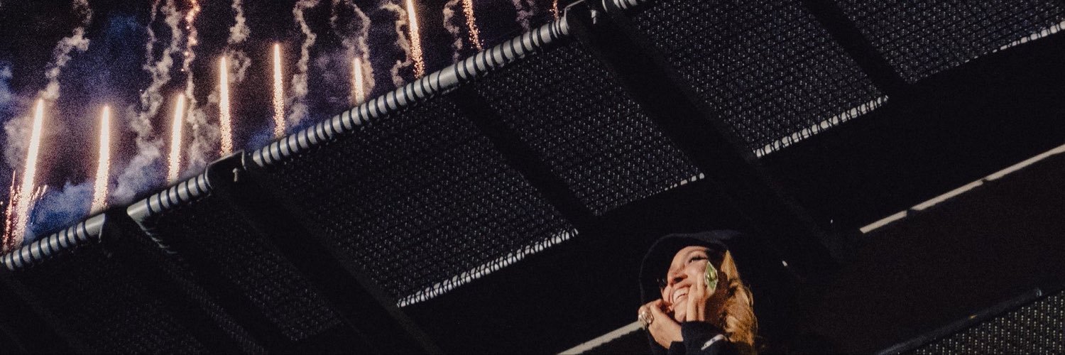 ν 𐚁🐊's banner
