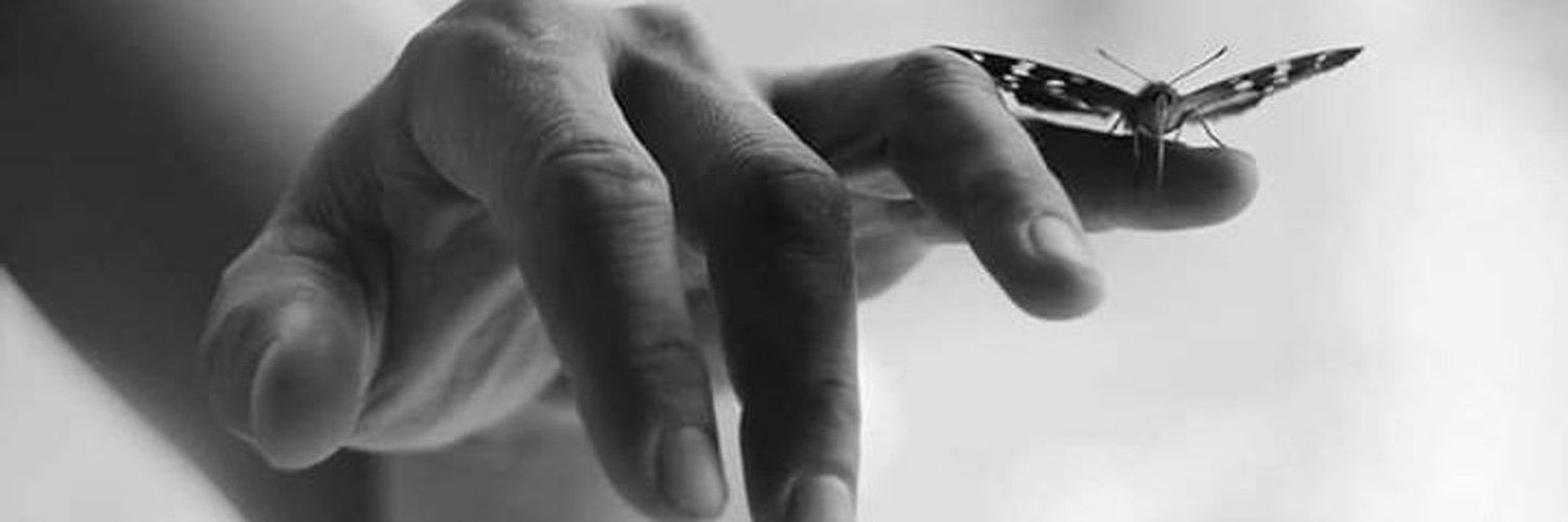 @LizSambrano🦋's banner
