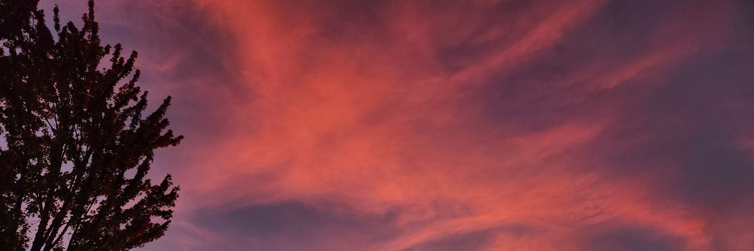 Ellie's banner