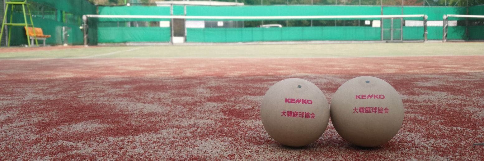 ひゃん🎾ソウルでソフテニしませんか？'s banner