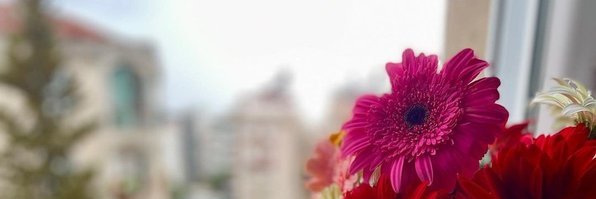 هدى ۜسـعيدۧ's banner