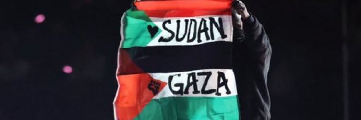 Ze 🇸🇩's banner