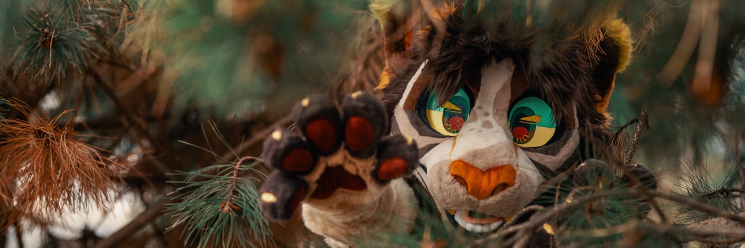 Sheenitude's banner