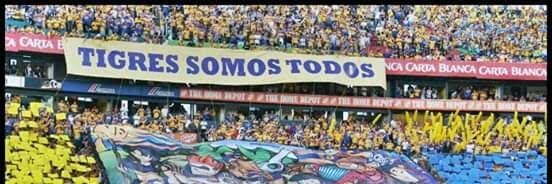 TIGRES SOMOS TODOS's banner