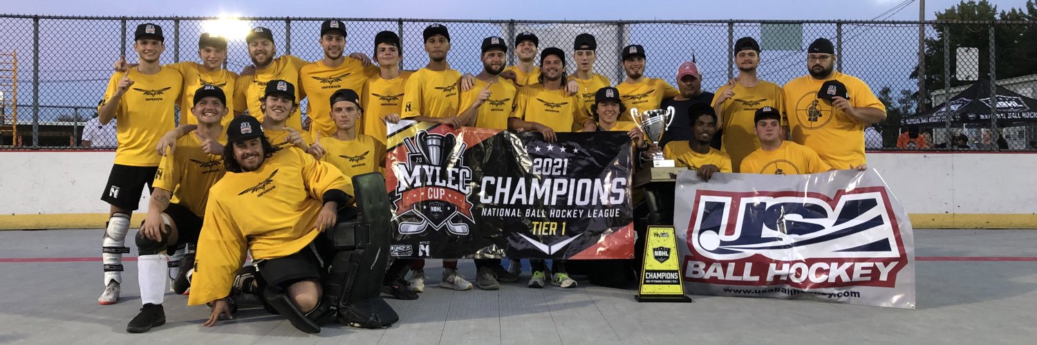 National Ball Hockey League's banner