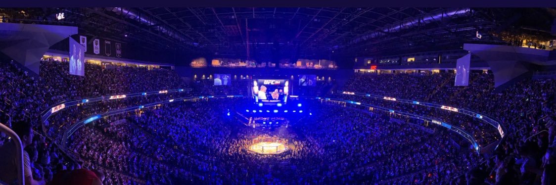 Combat Sports Insider's banner