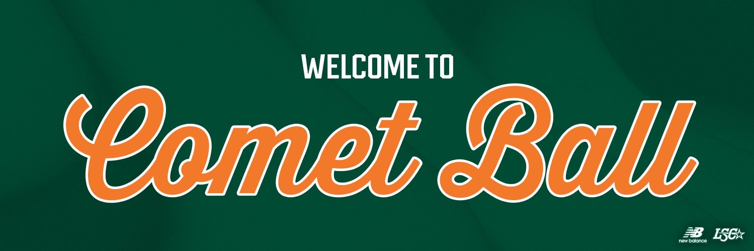 UT Dallas Baseball's banner