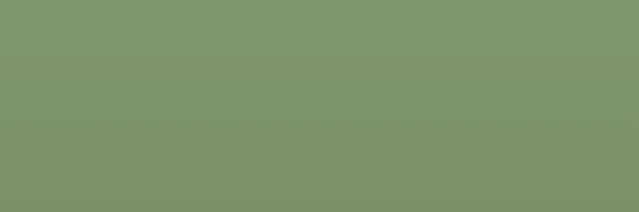mae's banner