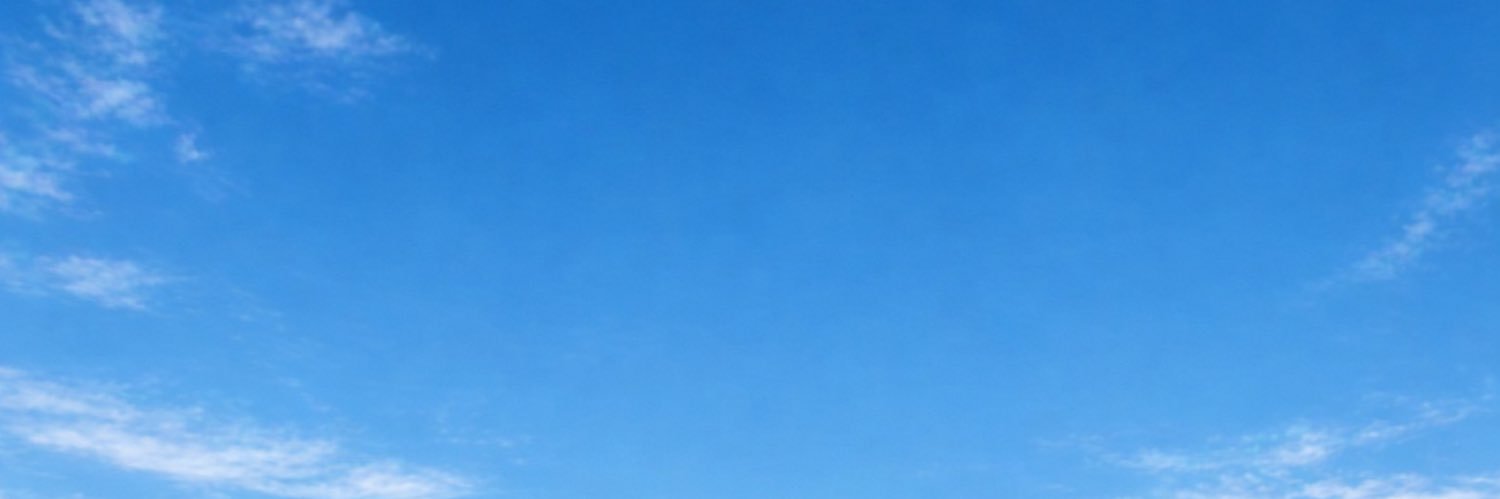 Richardo's banner