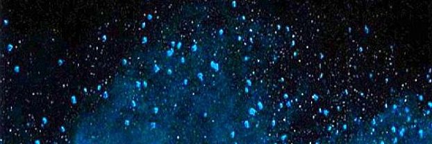 ¥∆Fyππ∆¥'s banner