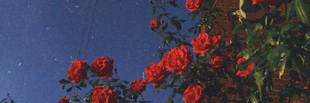 Mari 🦄's banner