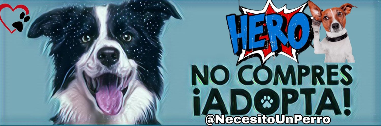 Necesito un 🐶 en mi vida's banner