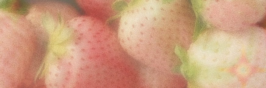 marnie ⋆𐙚₊˚⊹'s banner