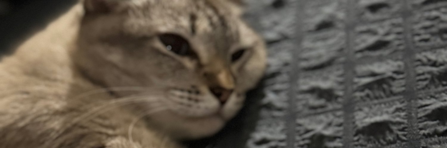⋆˚❀༄'s banner