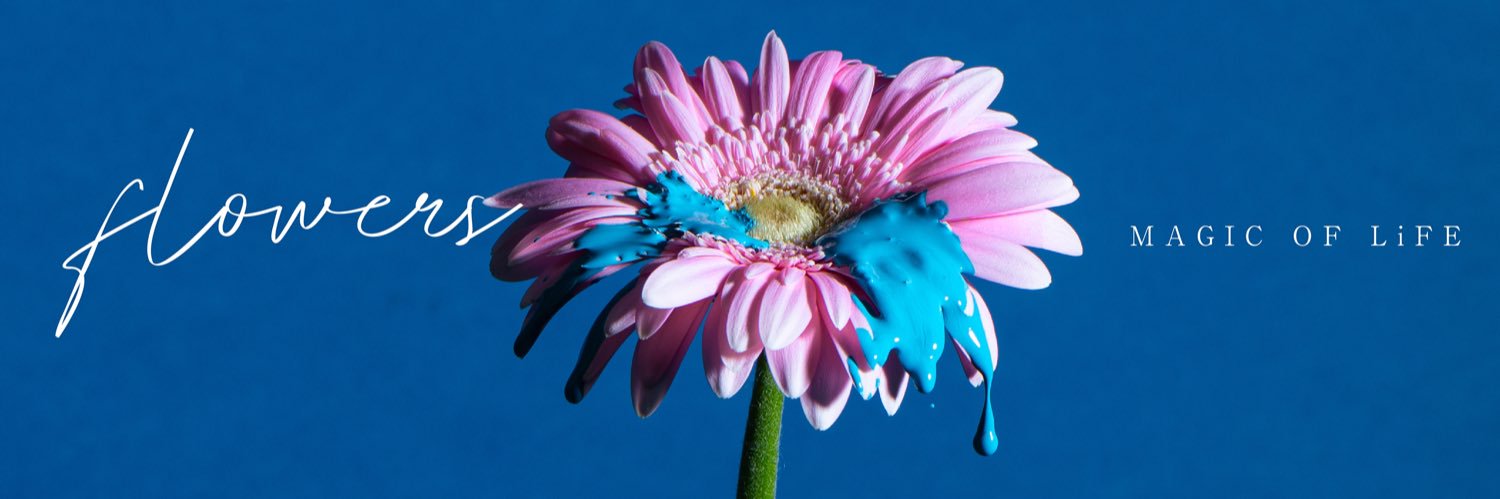 MAGIC OF LiFE's banner