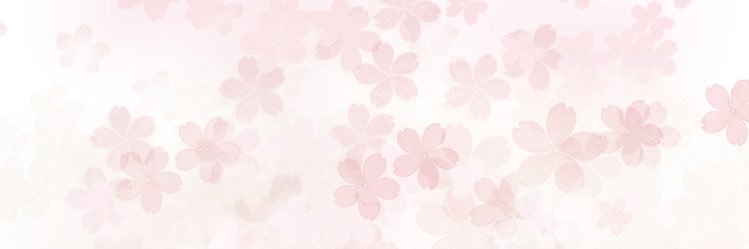 原味內褲✧願望芝羽's banner